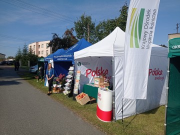 Wrześniowe Targi rolne w sercu Polski przyciągnęły tłumy zainteresowanych, 